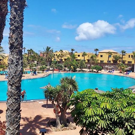 Tamarindo 27 Pool Front Next To The Dunes, Free Wifi Corralejo Zewnętrze zdjęcie