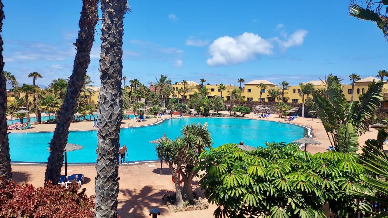 Tamarindo 27 Pool Front Next To The Dunes, Free Wifi Corralejo Zewnętrze zdjęcie